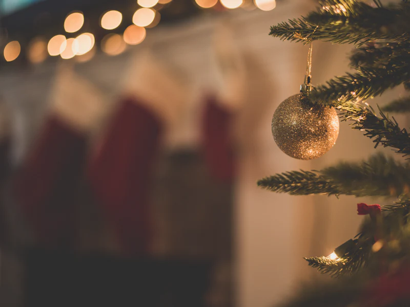 A Christmas ornament on a tree